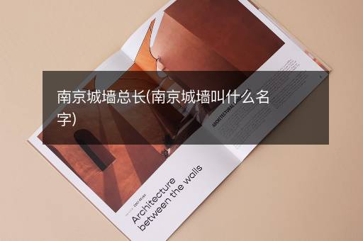 南京城墙总长(南京城墙叫什么名字)