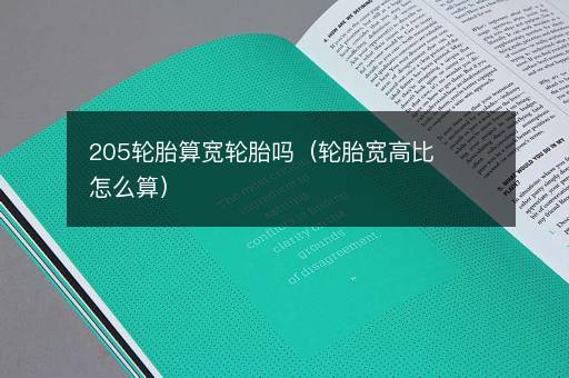 205轮胎算宽轮胎吗（轮胎宽高比怎么算）