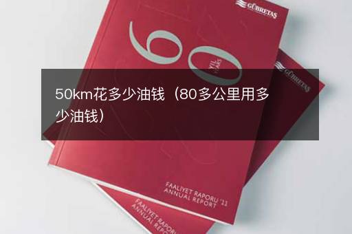 50km花多少油钱（80多公里用多少油钱）
