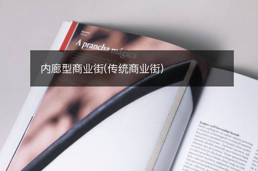 内廊型商业街(传统商业街)