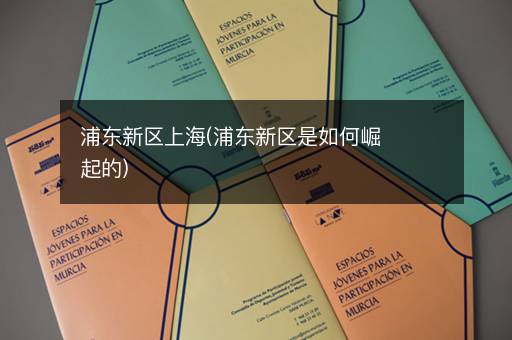 浦东新区上海(浦东新区是如何崛起的)